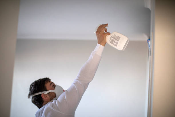 Best White Mold Remediation in Indian Hills, NM