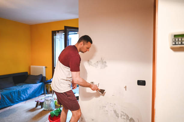 Best Attic Mold Remediation in Indian Hills, NM